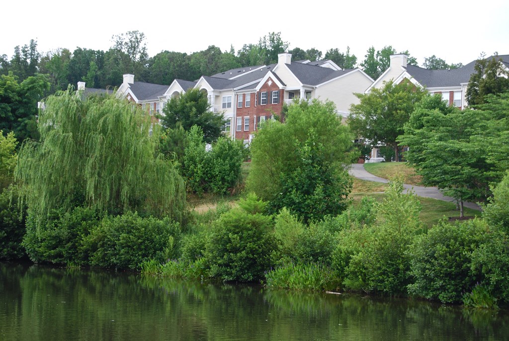 Community Near River, Mature Tree at Enclave Apartments, Virginia, 23114