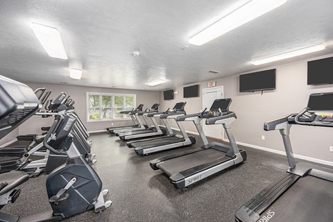 Modern Fitness Center at Gull Prairie/Gull Run Apartments and Townhomes, Michigan
