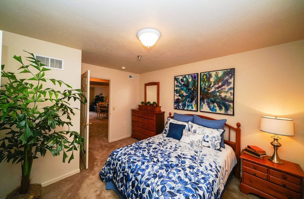 Spacious Bedroom with Carpeting at Gull Prairie/Gull Run Apartments and Townhomes, Michigan, 49048