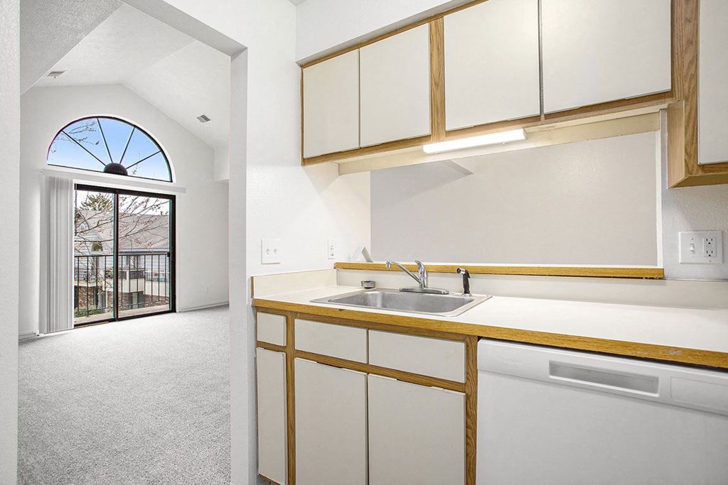 a kitchen with a dishwasher and a view at Hampton Lakes Apartments, Michigan, 49534