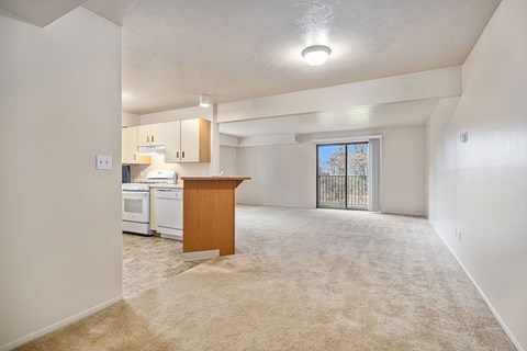 A kitchen area with a counter and cabinets is visible through a glass door.