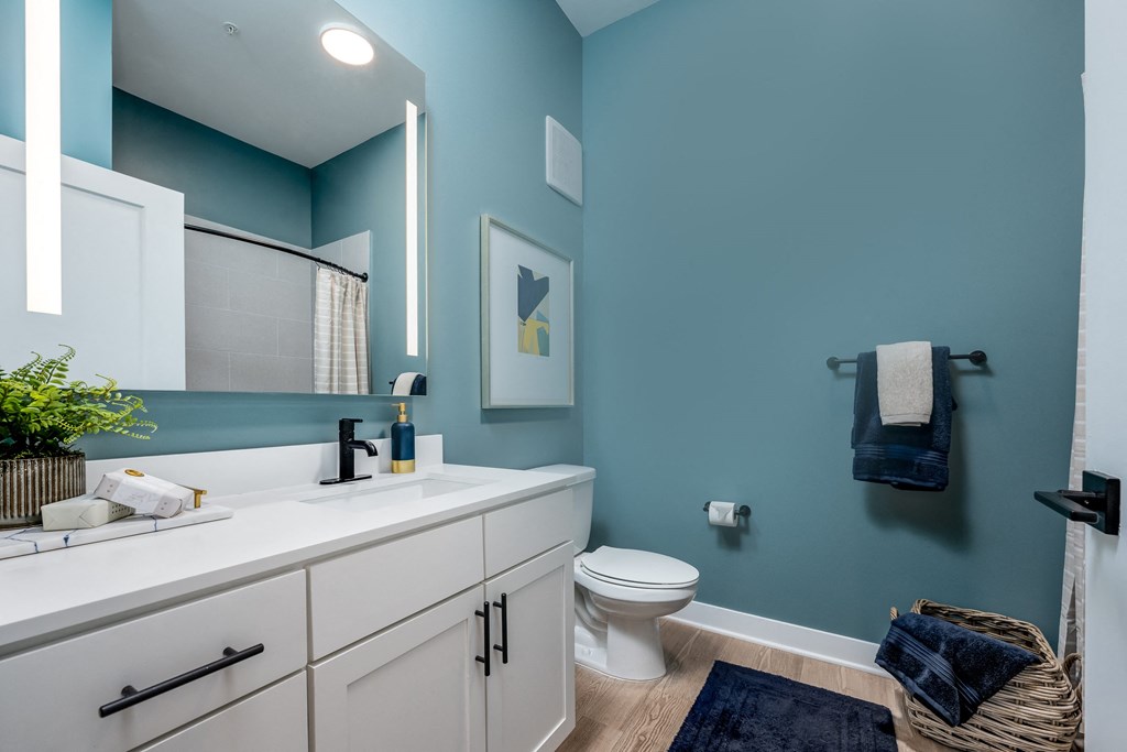 a bathroom with a blue wall and white cabinetsat Ironwood Flats, Brandon, 33511