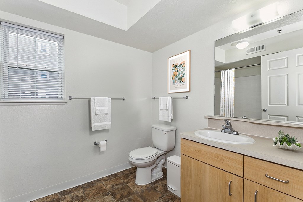 a bathroom with a sink toilet and a mirror at Limestone Creek Apartment Homes, Madison, AL