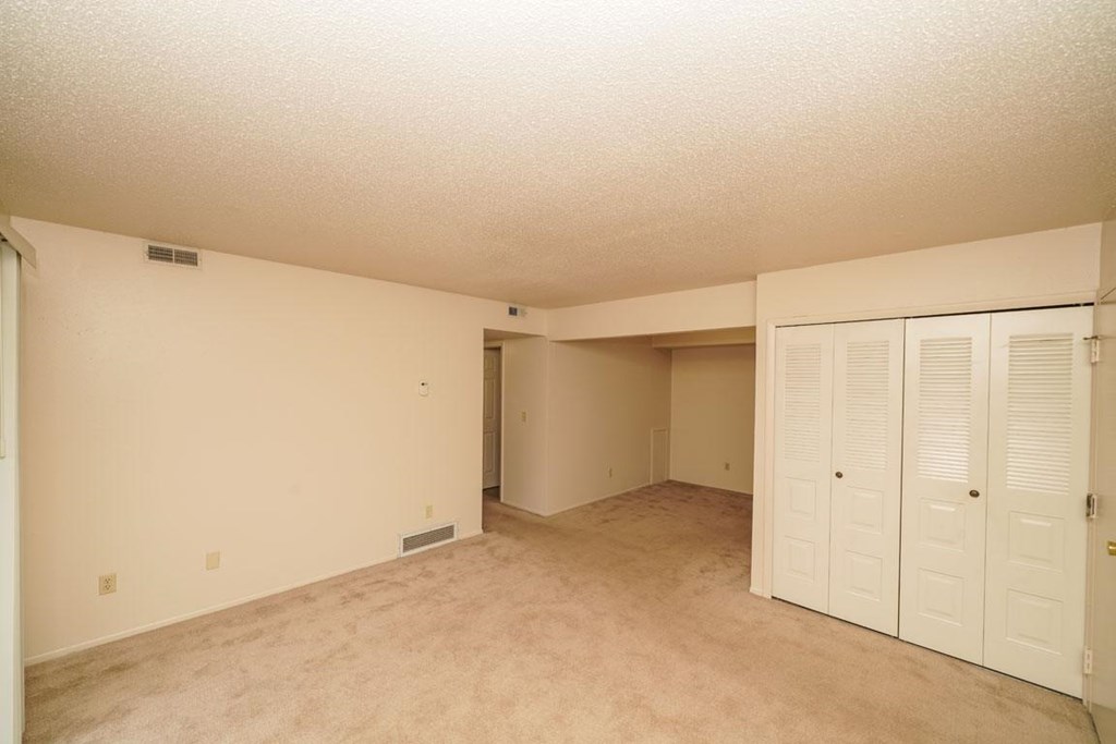 Living Room with Lots of Closet Space at Madeira Apartments in Kalamazoo, MI