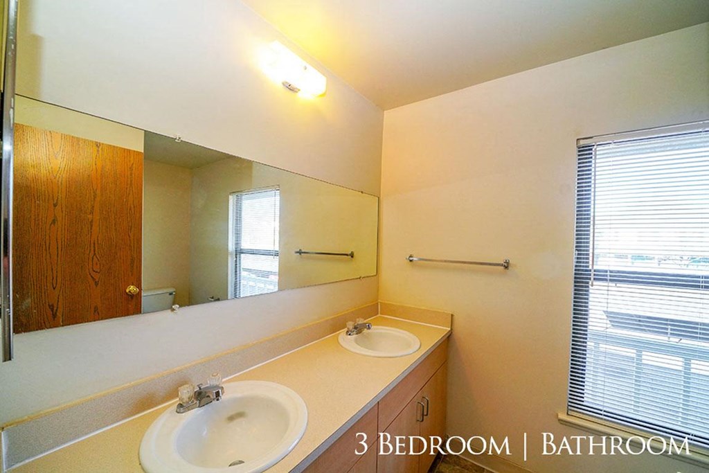 Dual Vanity Sinks at Mount Royal Townhomes, Michigan, 49009