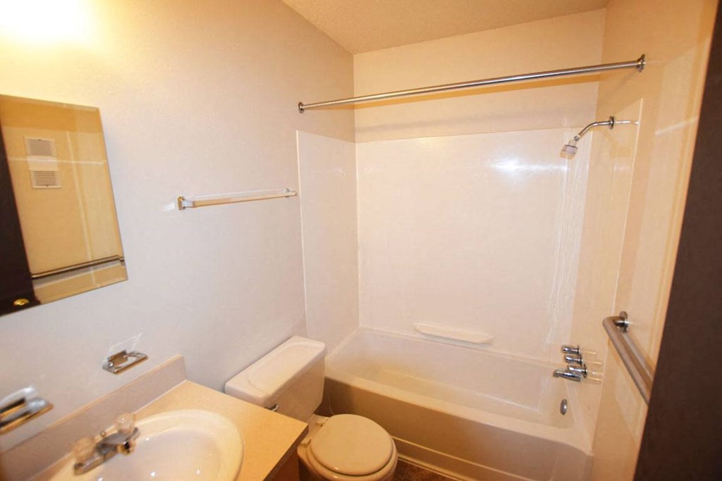 Shower and Tub Combination at Newport Village Apartments, Michigan