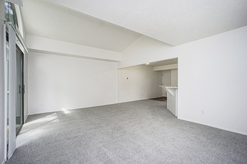A large, empty room with white walls and a grey carpet.