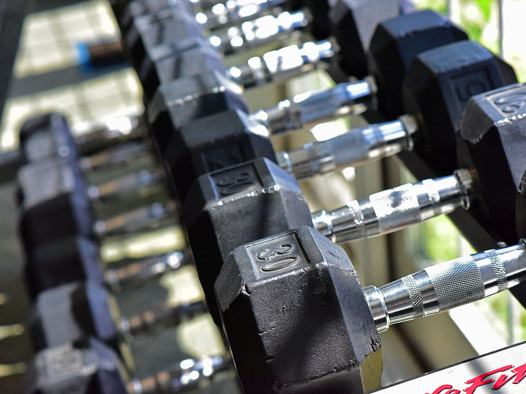 Free Weights at Northport Apartments, Macomb, 48044