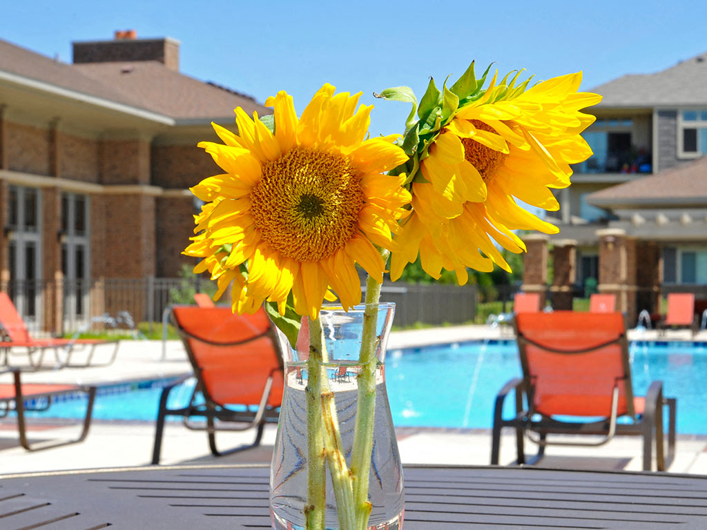 Swimming Pool and Sundeck at Prairie Lakes Apartments, Illinois, 61615