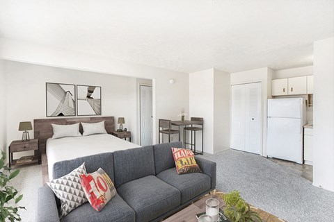 A grey couch with pillows that say 20 on them sits in a living room.