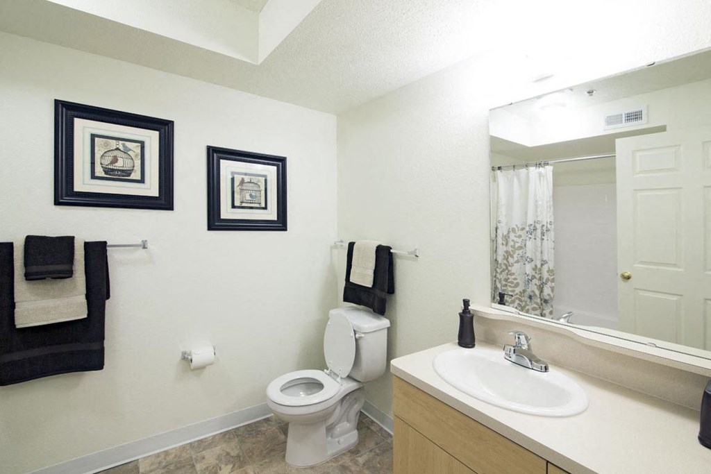 Upgraded Bathroom Fixtures at Stoney Pointe Apartment Homes, Wichita