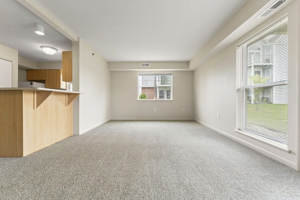 An end style living room with a carpeted floor and a window with blinds at Tall Oaks Apartment Homes, Michigan, 49009