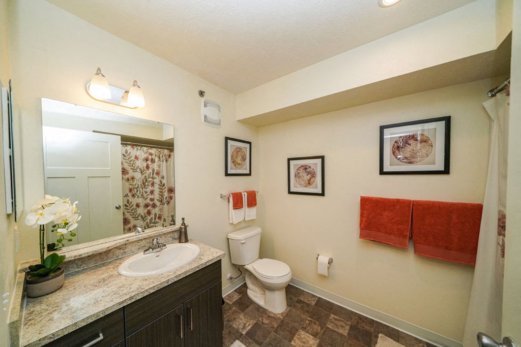 Luxurious Bathrooms at The Reserve at Destination Pointe, Iowa, 50111