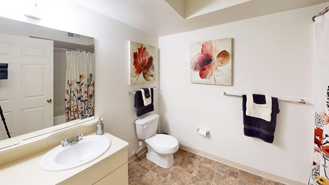 A bathroom with a toilet, sink, and a painting on the wall at Tracy Creek Apartment Homes in Perrysburg, OH