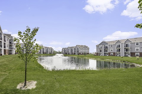 A tree stands in front of a pond with green grass behind apartment buildings. at Tracy Creek Apartments, Perrysburg