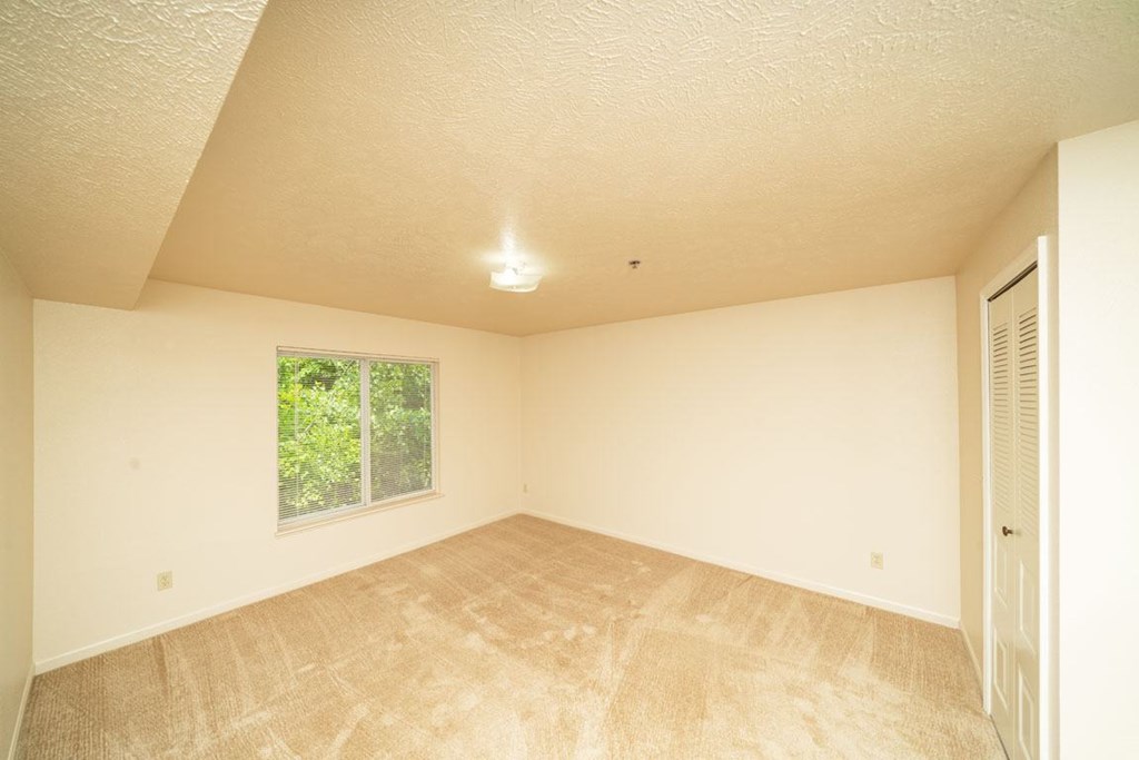 Spacious Bedroom at Trillium Pointe Apartment Homes in Jackson, MI