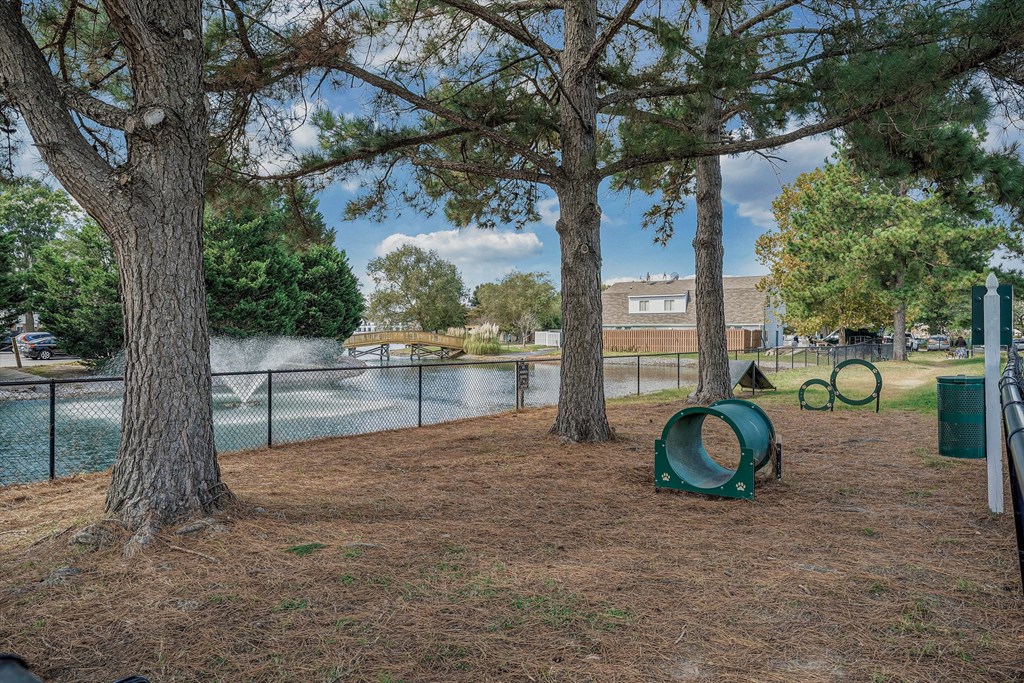 a pet-park with a lake and trees next to it at WaterFront Apartments, Virginia Beach