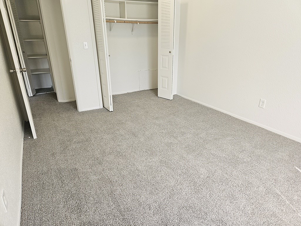 A room with a carpeted floor and a closet with a white door.