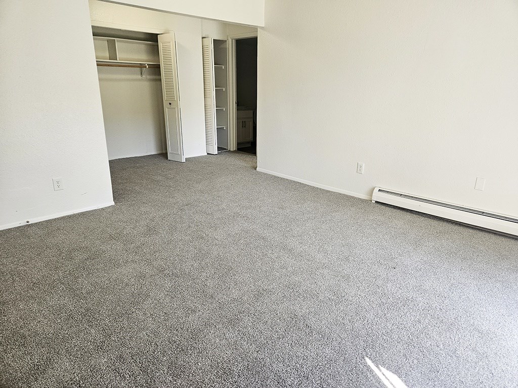 A room with a grey carpet and white walls.