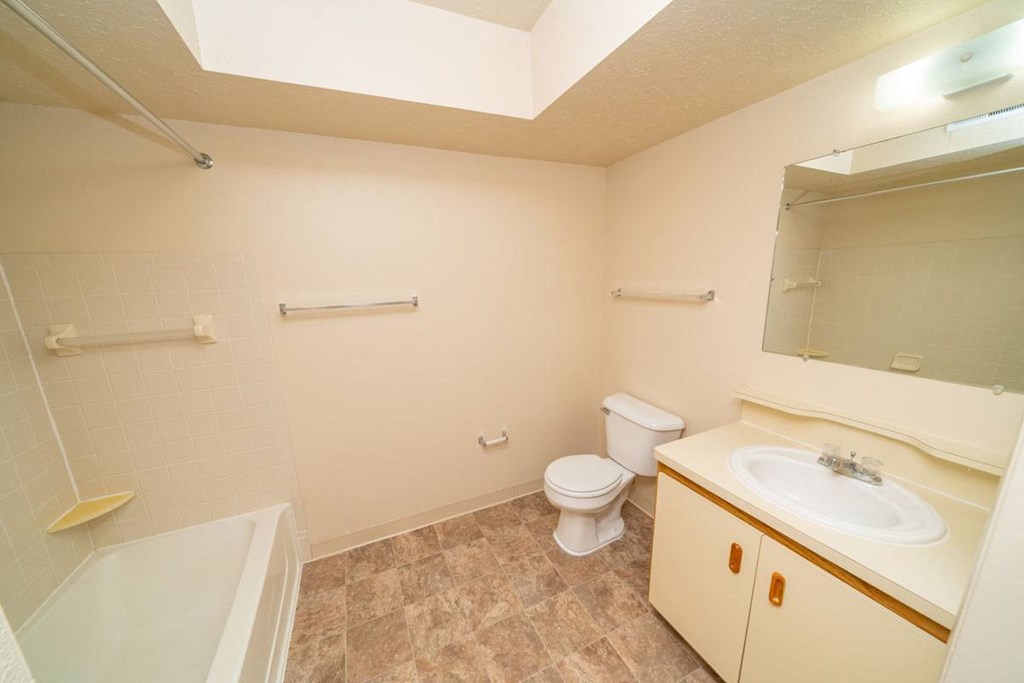 Large Handicap Accessible Bathroom at Windmill Lakes Apartments, Holland, 49424