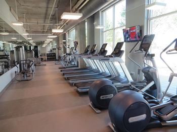 a row of cardio machines in a gym
