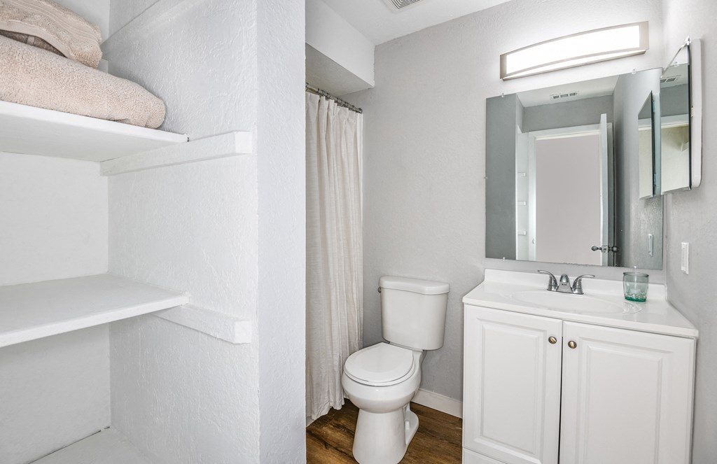 a bathroom with a toilet and a sink and a mirror
