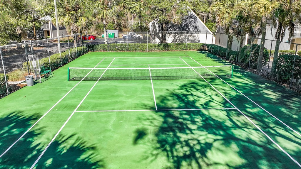 a tennis court on a green court in a backyard with palm trees