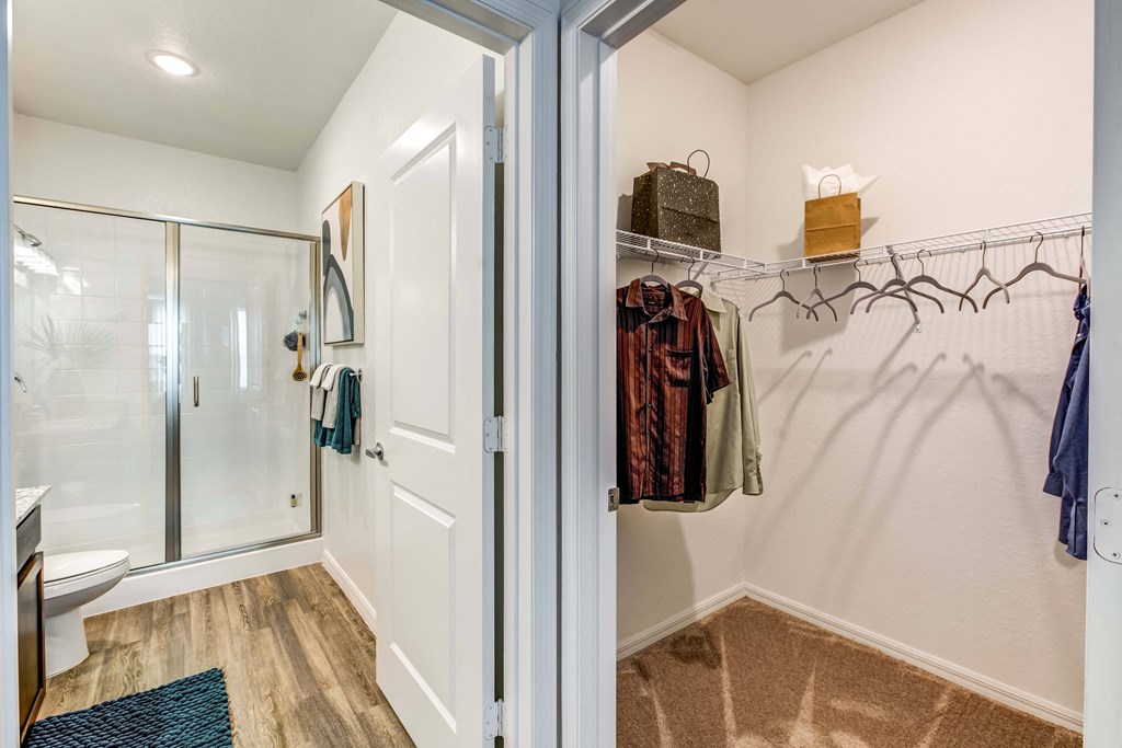 master bath and walk-in closet