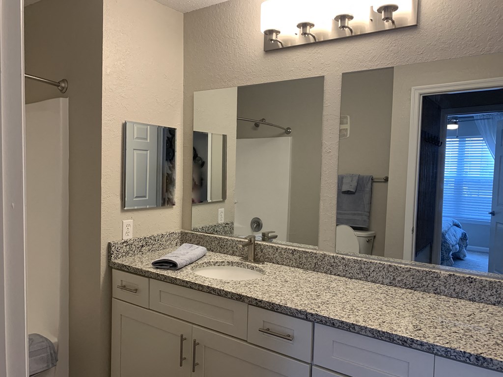 Compass guest bathroom sink and white vanity