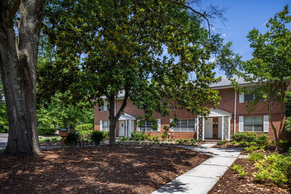 A tree in front of a brick building.