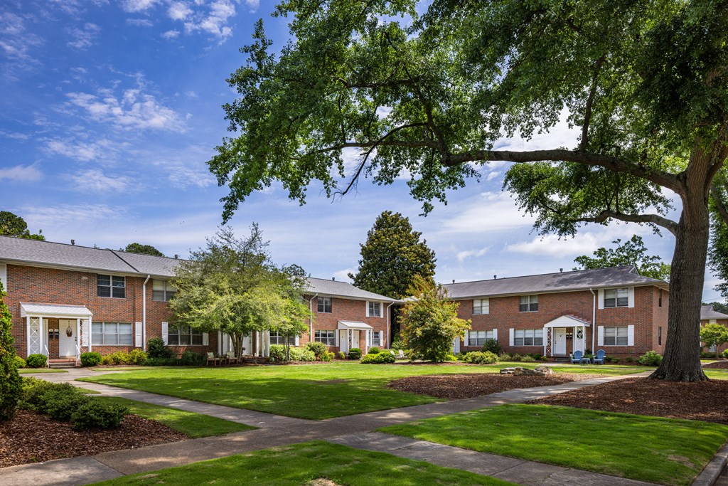 A tree in front of a building with a blue sky in the background.