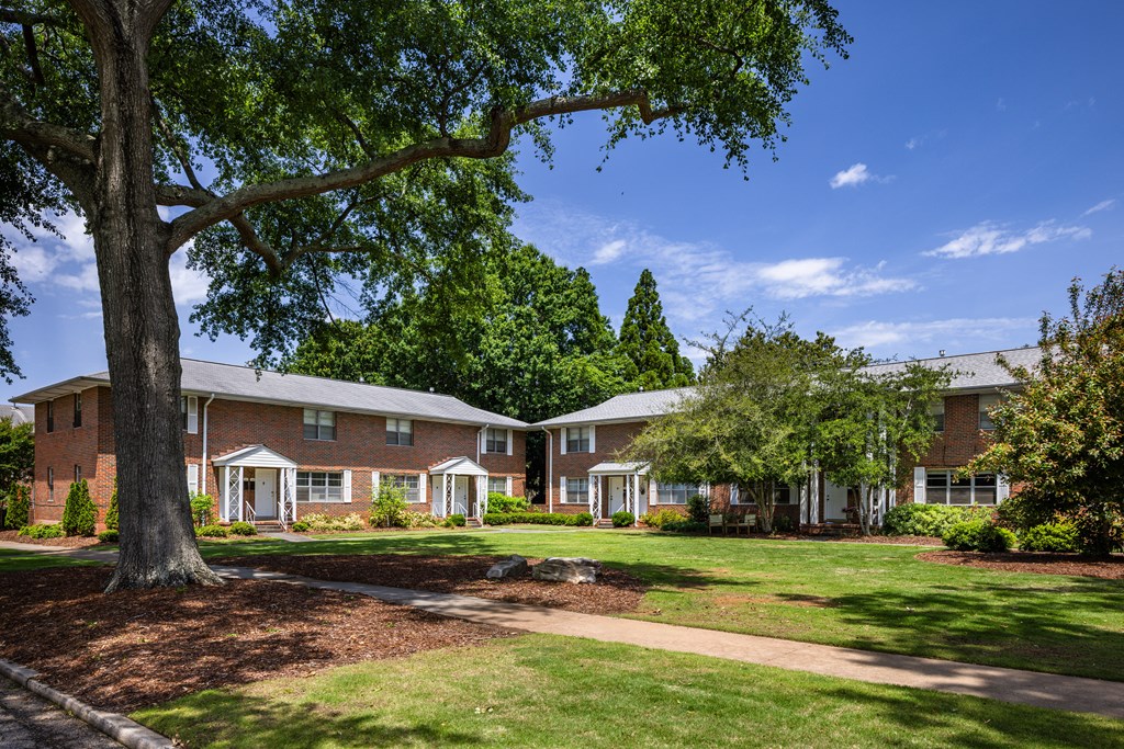 A large tree in front of a house.
