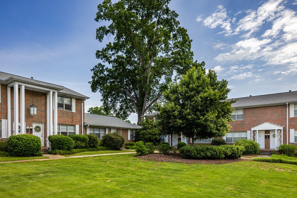 A large tree stands in front of a building with a green lawn in the foreground.