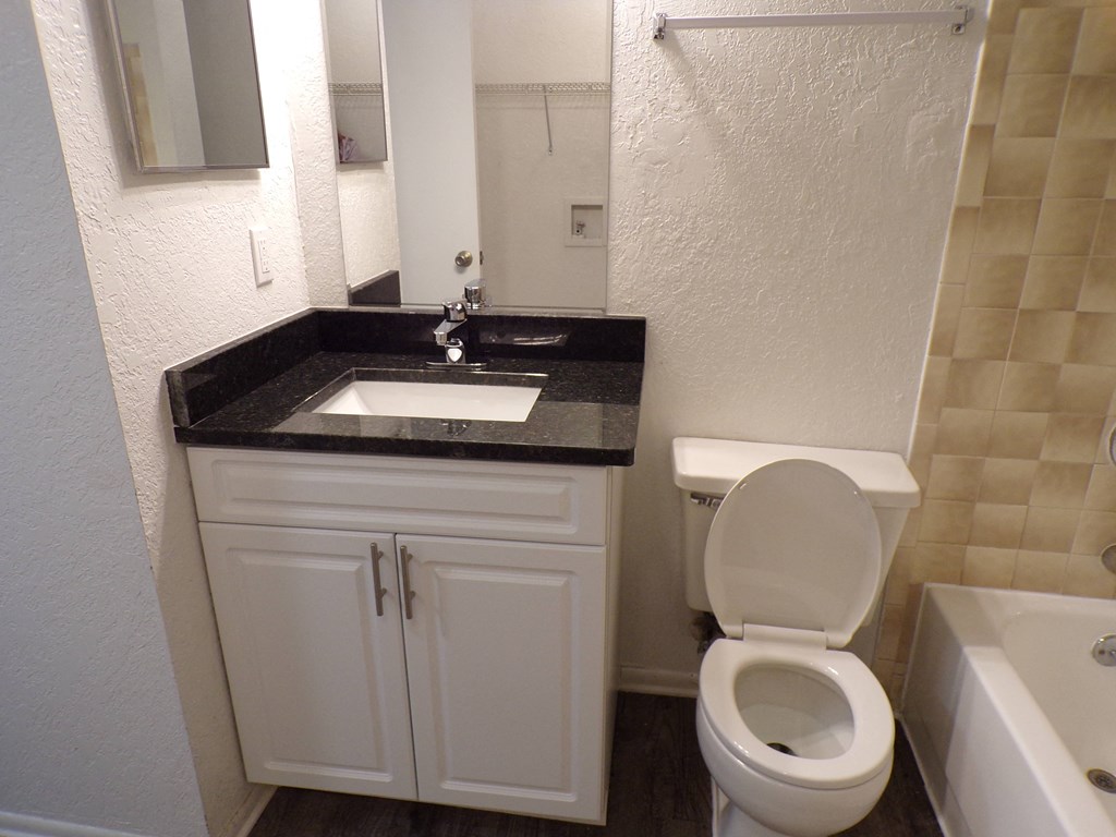 a bathroom with a toilet and a sink and a mirror