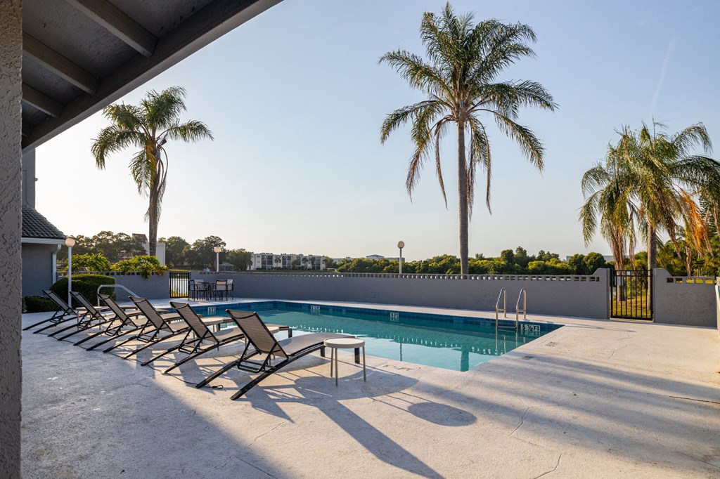 A pool surrounded by palm trees and lounge chairs.