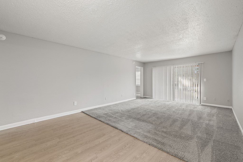 Open living room and dining room