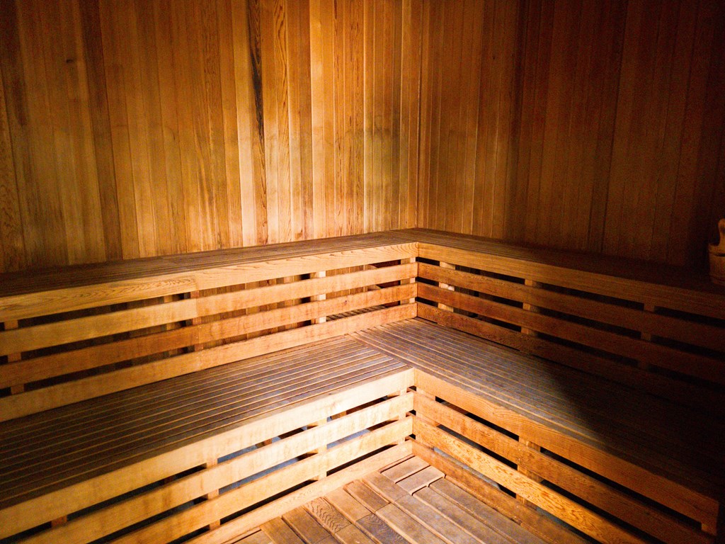 Sauna with wooden walls and benches