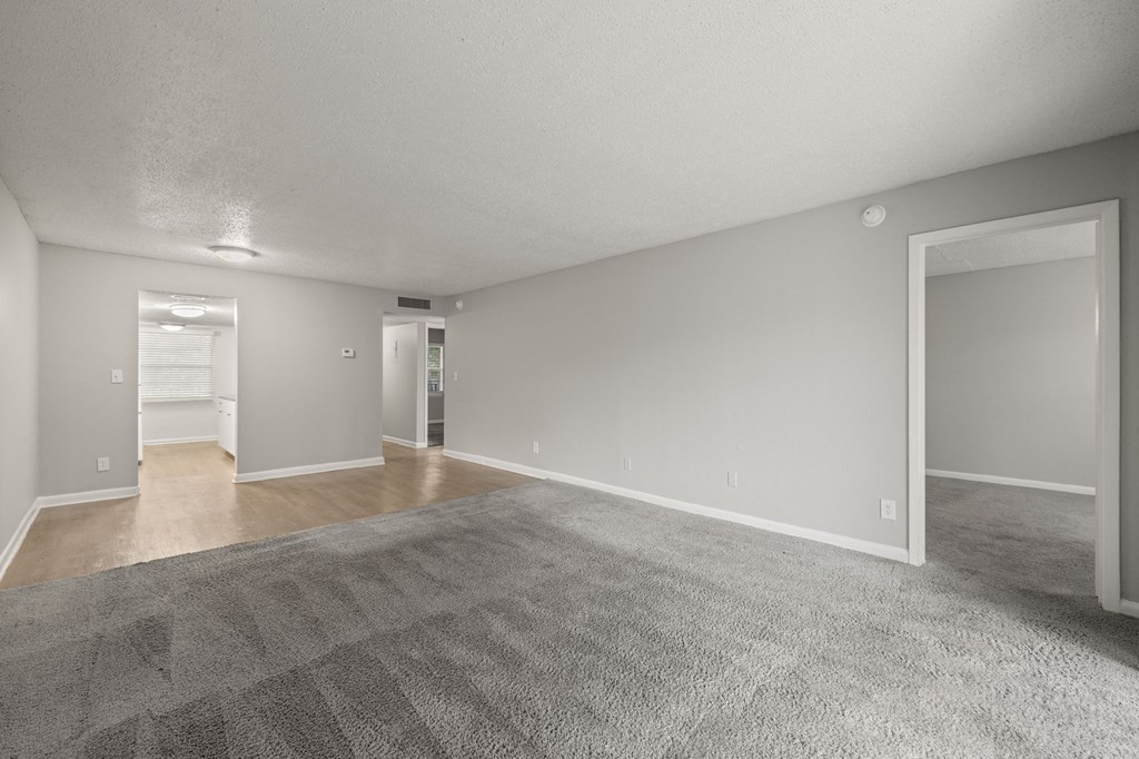 Open living room and dining room