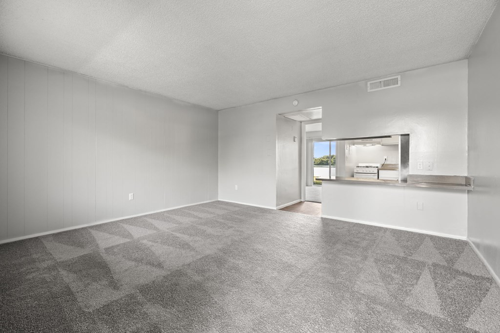 A large empty room with a patterned carpet.