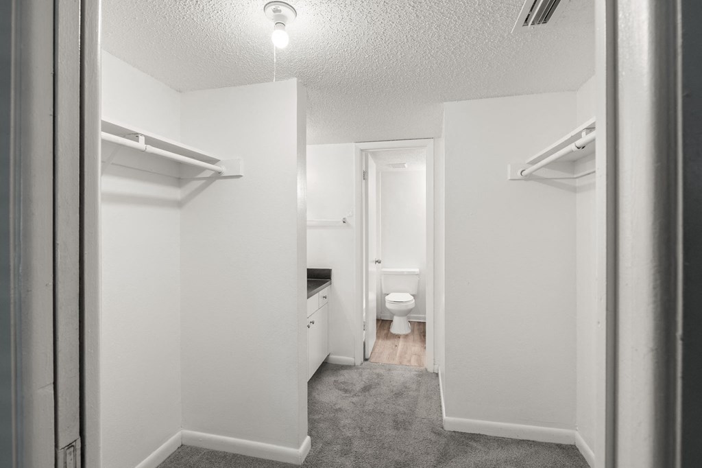 Master bathroom and closet