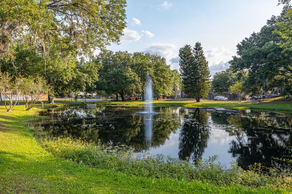 Exterior landscaping and pond with fountain
