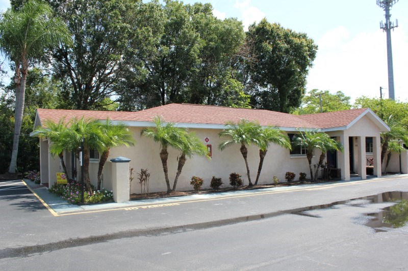 a house with palm trees in front of it on a street