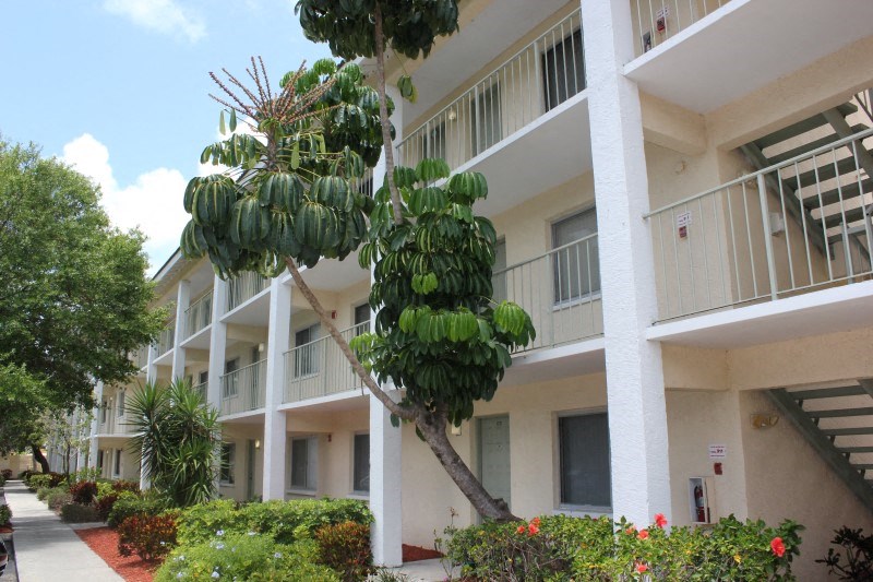 a building with a bunch of bananas on a tree in front of it
