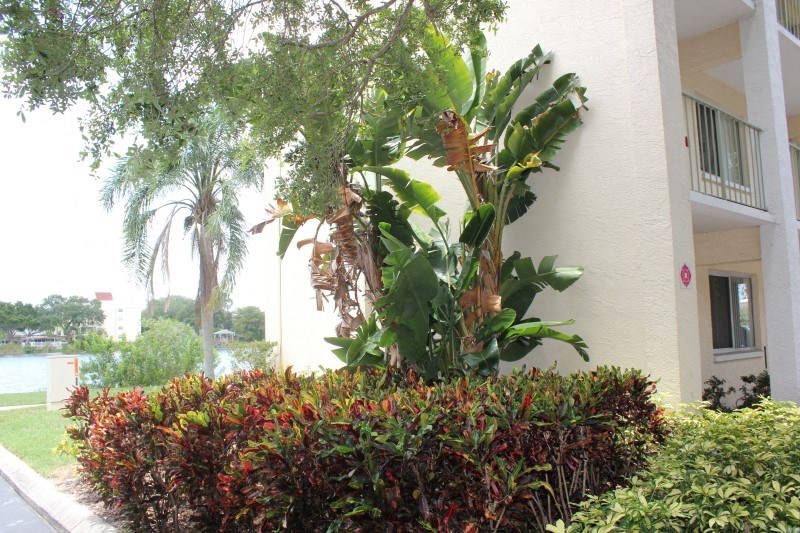a building with plants and trees in front of it