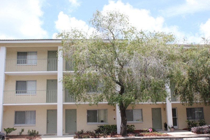 an apartment building with a tree in front of it