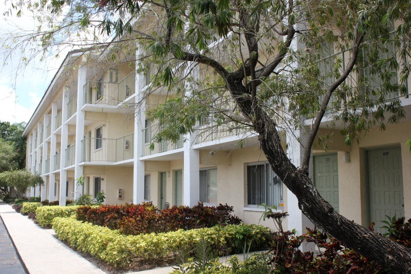 a large white building with a tree in front of it