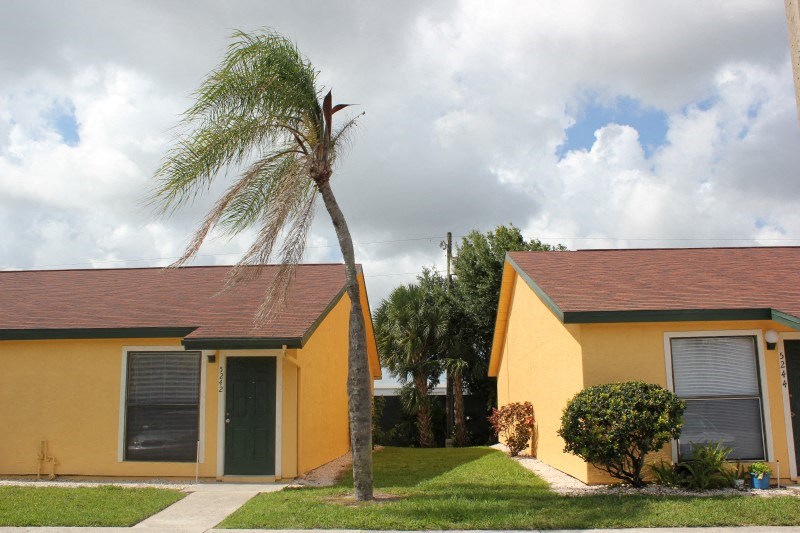 a palm tree in front of a yellow house