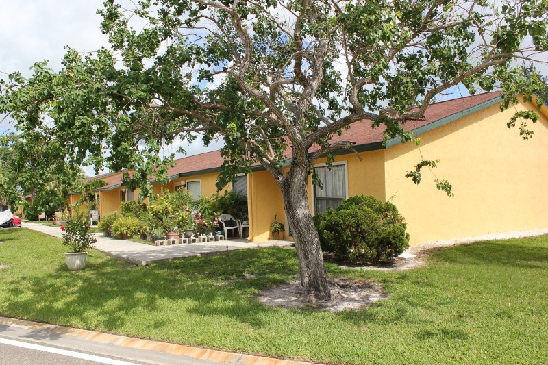 a yellow house with a tree in front of it