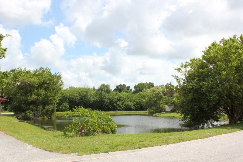 a pond in the middle of a park with trees