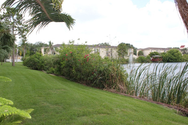 a view of a lake with a lawn and plants